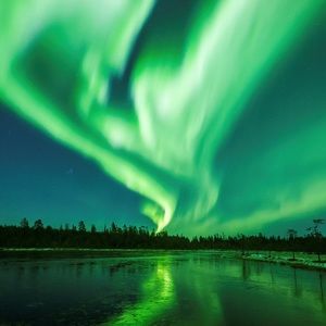 Meet your Posher, Cinnamon